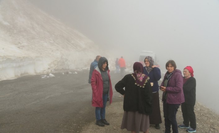 Borçka'da yola düşen kar kütlesi ulaşımı aksattı