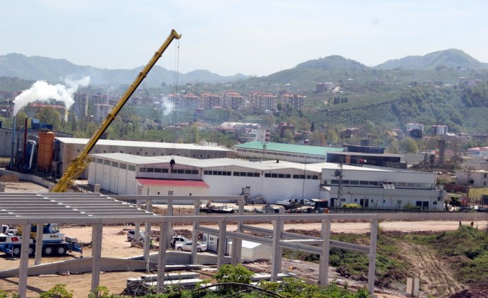 Giresun'da 5 bin kişiye istihdam imkanı sağlanacak