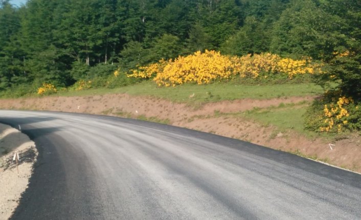 Akkuş'ta yol çalışmaları