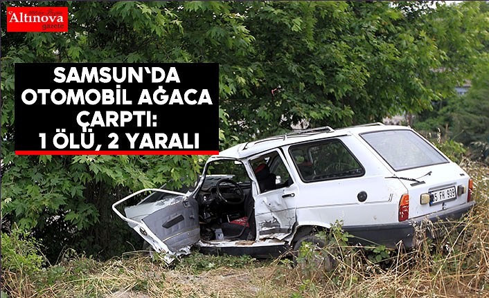 Samsun'da otomobil ağaca çarptı: 1 ölü, 2 yaralı