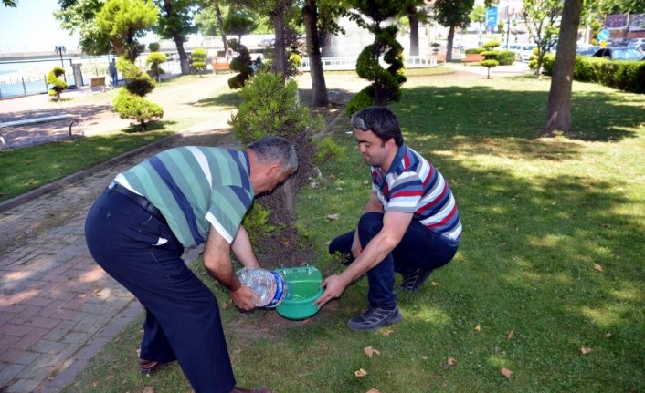 Sokak hayvanları için suluk