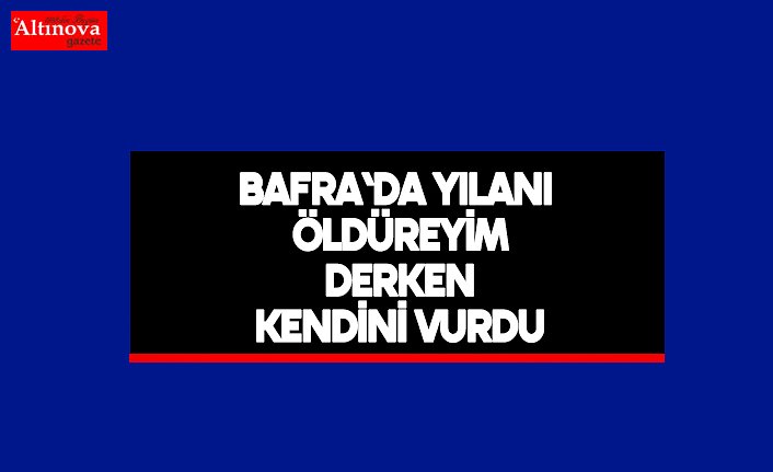 Bafra'da Yılanı Öldüreyim Derken Kendini Vurdu