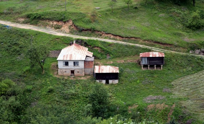 Hamsiköy'e turist ilgisi