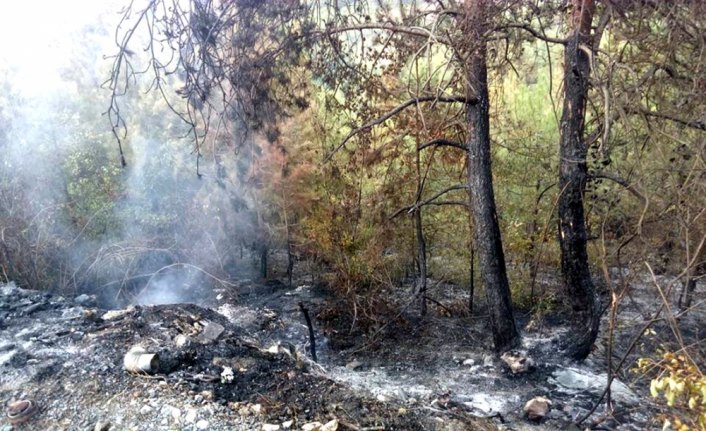 Alaplı'da ormanlık alanda yangın çıktı