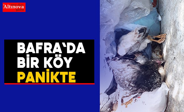 Bafra`da bir köy panikte