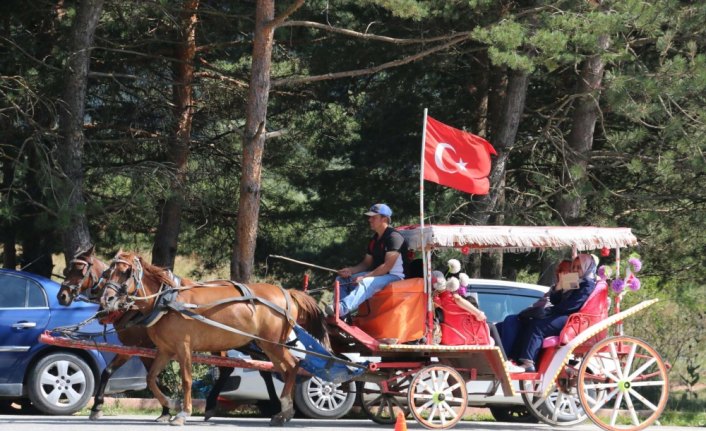 Bolu'daki tabiat parklarında ziyaretçi yoğunluğu