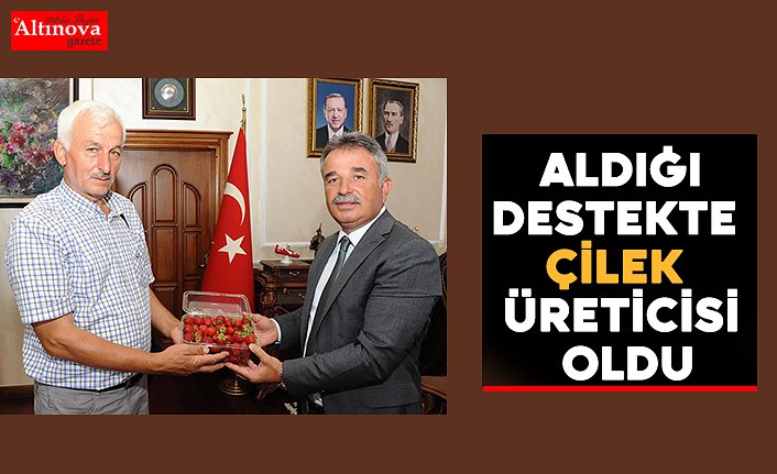 Büyükşehirden Aldığı Destekte Çilek Üreticisi Oldu