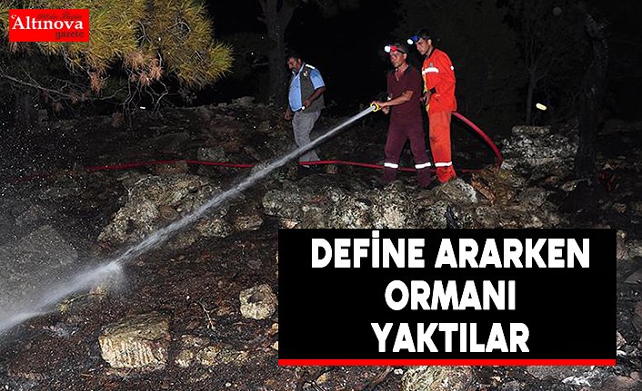 Define ararken ormanı yaktılar