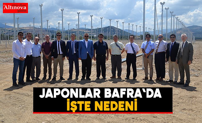 Japonlar Bafra`da işte nedeni