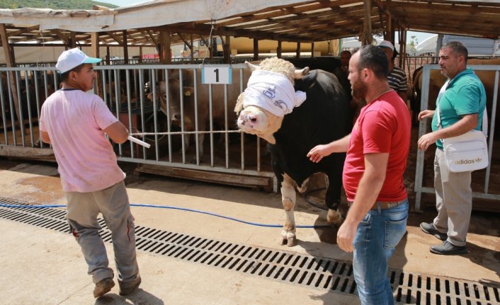 Kurban pazarlarında arife günü hareketliliği