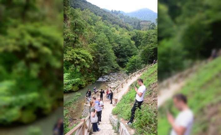 Tatilciler Giresun'da yaylaları tercih etti