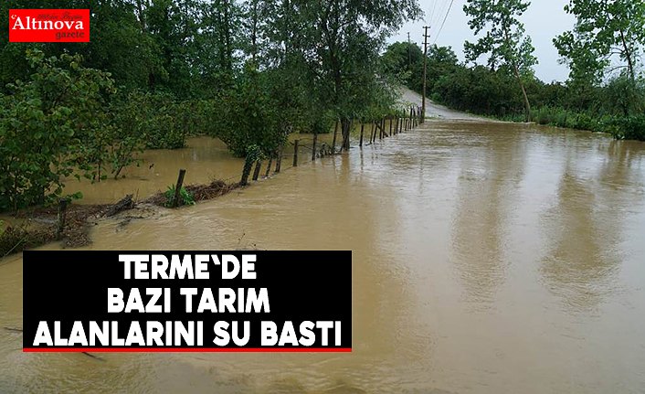 Terme'de bazı tarım alanlarını su bastı