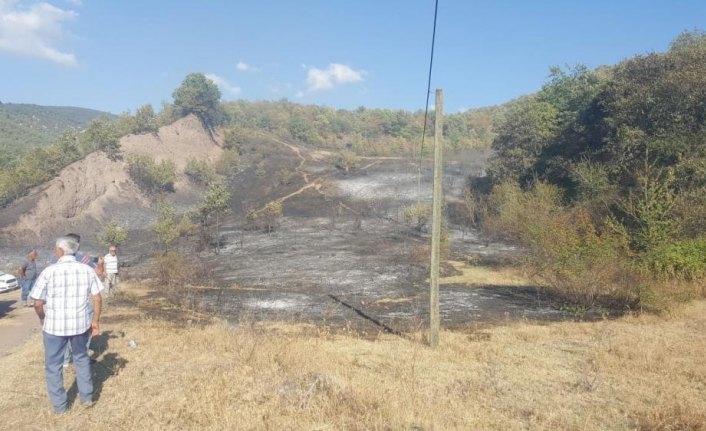 Tokat'ta orman yangını