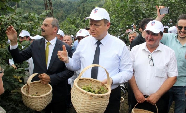 Trabzon'da 'hasat şenliği'