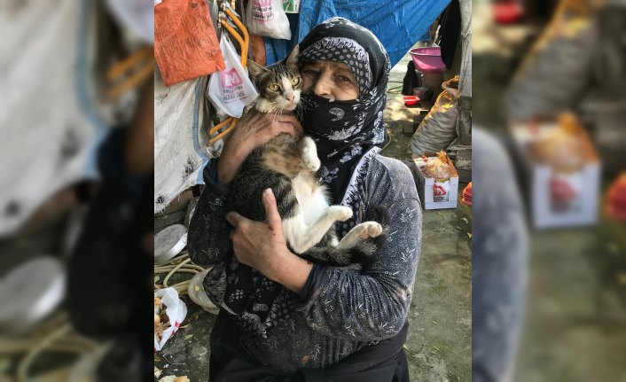 Kedisi için canından oluyordu