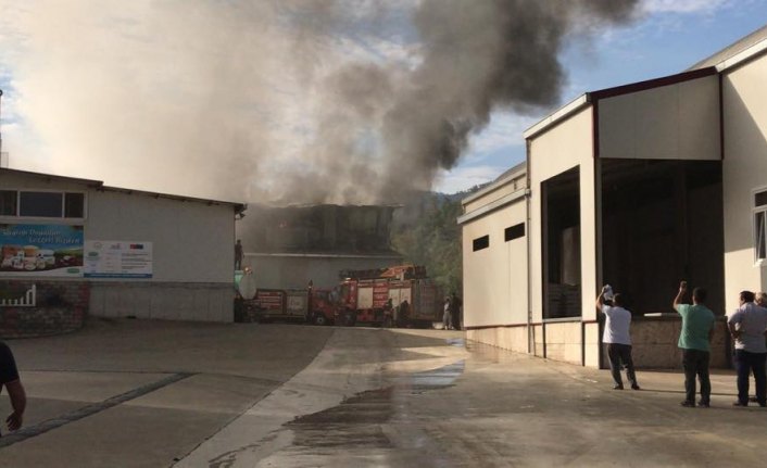 Trabzon'da süt fabrikasında yangın