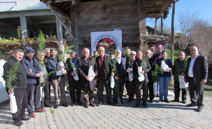 Kavak'ta mahalle sakinlerine ücretsiz fidan dağıtımı