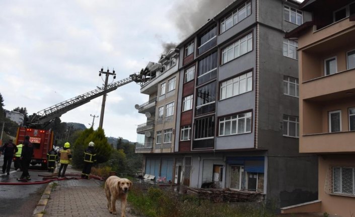 Ordu'da yangın