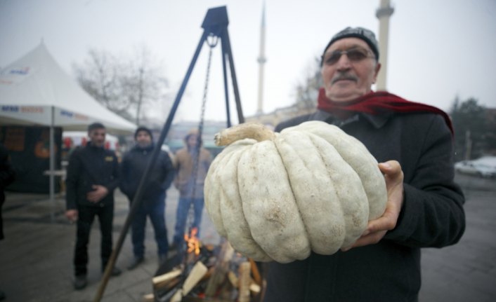 Düzce Kabağı Lezzet Şenliği