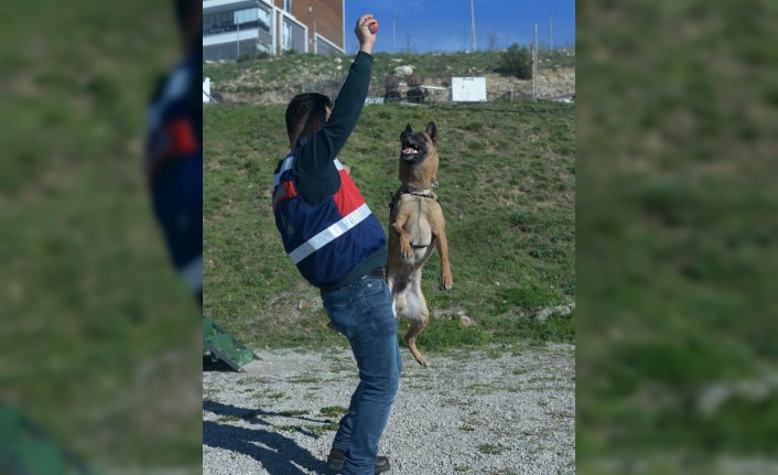 Jandarmanın göz bebekleri, huzura katkı sağlıyor