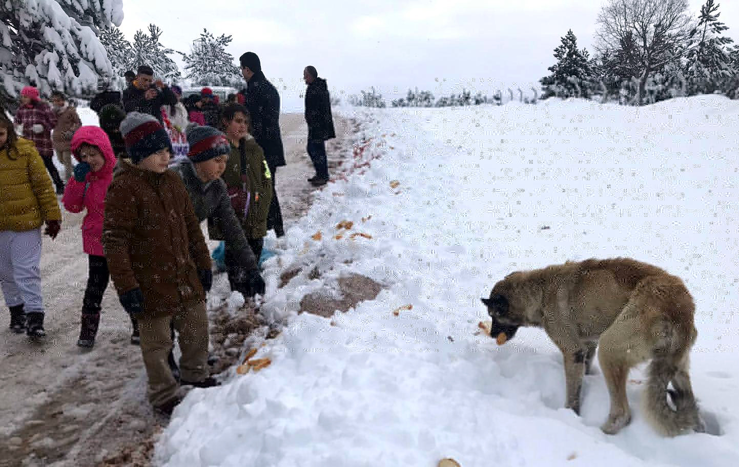 Minik öğrencilerden sokak hayvanları için kermes