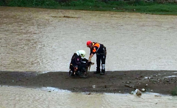 Trabzon'da dereye düşen köpek kurtarıldı