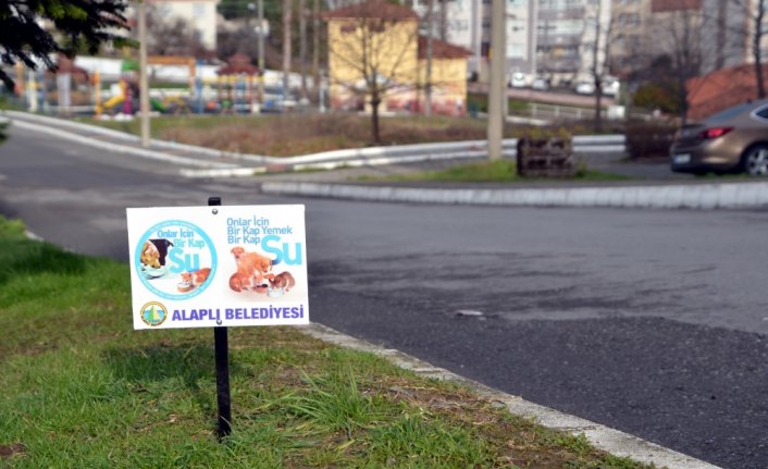 Alaplı Belediyesi sokak hayvanlarını unutmadı