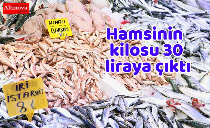 Hamsinin kilosu 30 liraya çıktı