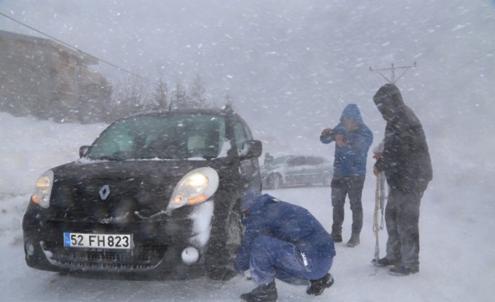 Ordu'da festival yolunda trafik kazası