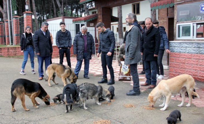 Harçlıklarıyla aldıkları mamalarla sokak hayvanlarını beslediler