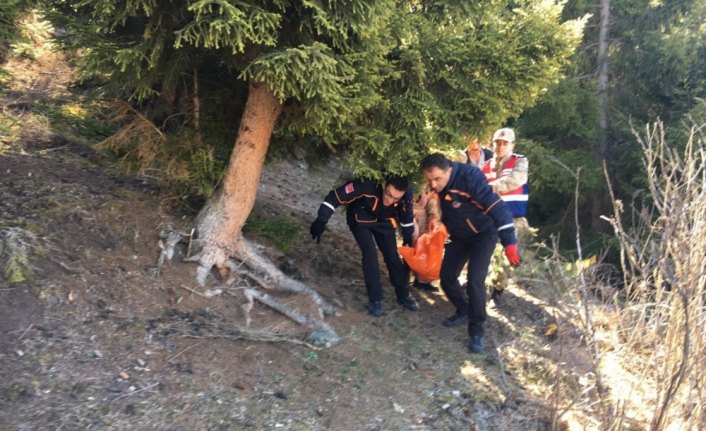 Artvin'de kayıp kişi ormanlık alanda ölü bulundu