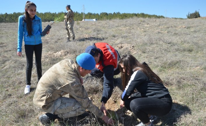 Çorum'da jandarma ve öğrenciler fidan dikti