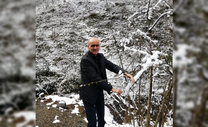 Fındık üreticisinde kar endişesi