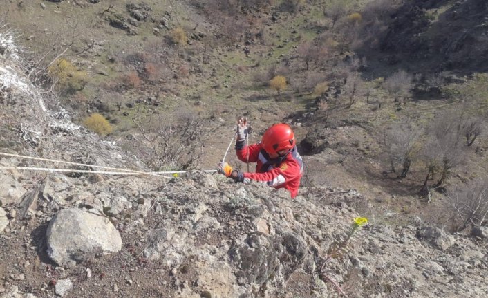 İtfaiyeden keçi kurtarma operasyonu