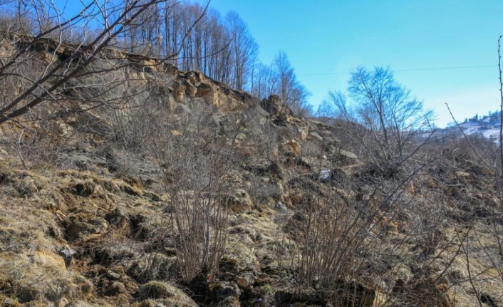 Ordu'da heyelan afetzedeleri için yeni konut yapılacak