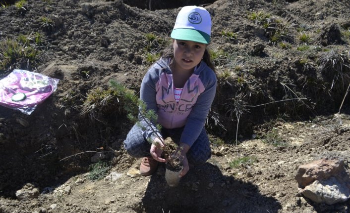 Safranbolu'da bin 300 fidan toprakla buluştu