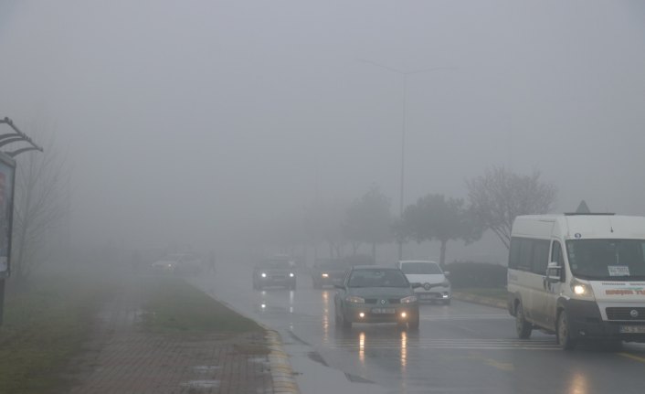 Sakarya ve Düzce'de yoğun sis