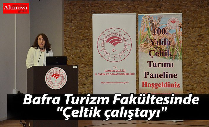 Bafra'da "Çeltik çalıştayı" düzenlendi