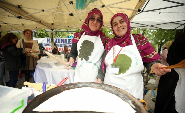 Düzce'nin otları festivalde tanıtıldı