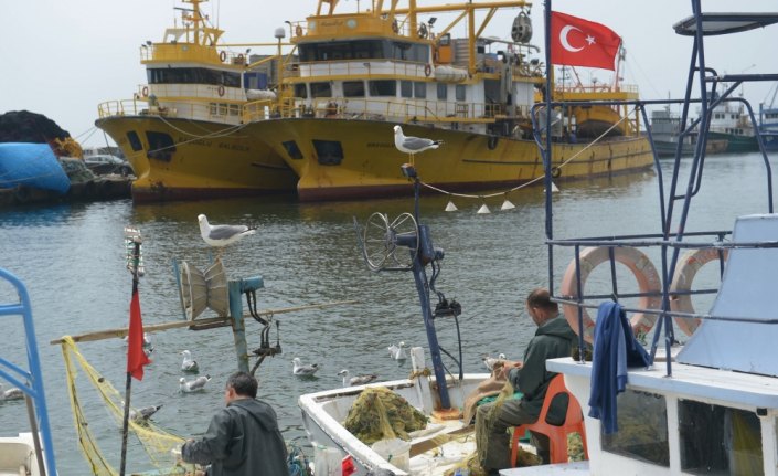 Kıyı balıkçılarında av mesaisi sürüyor