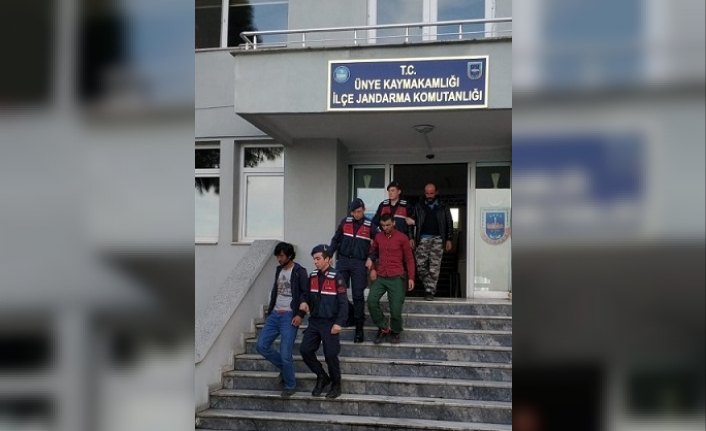 Ordu'da ülkeye kaçak giren 12 Afgan yakalandı