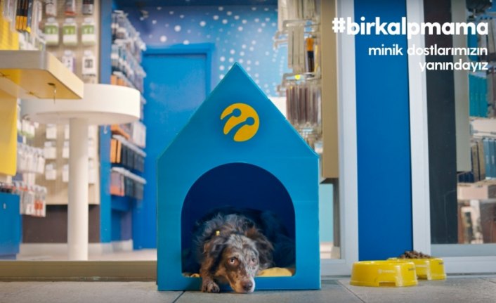 Turkcell'in bin 400 mağazası minik dostlara kapılarını açıyor