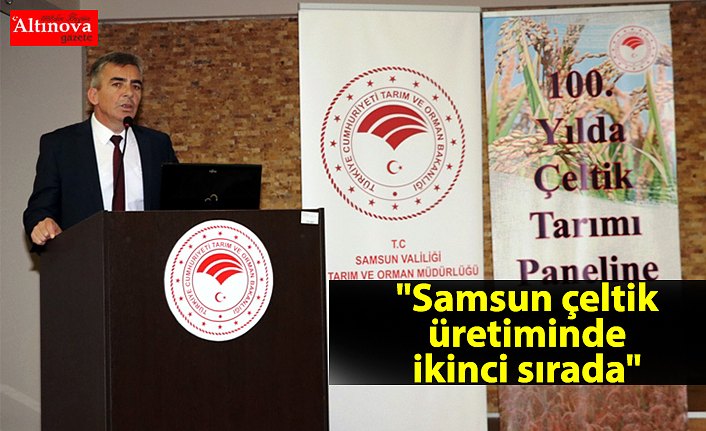 "Samsun çeltik üretiminde ikinci sırada"