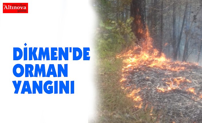 DİKMEN'DE ORMAN YANGINI