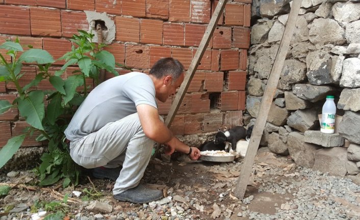 Köpek yavrusunu dereye atan kişiye 