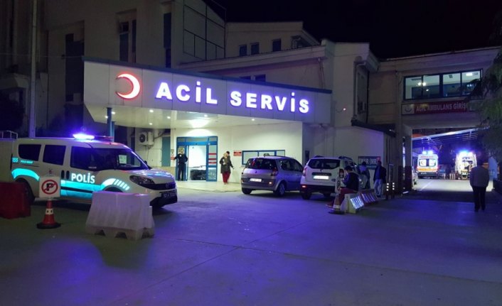 Ordu'da otomobil fındık bahçesine düştü: 8 yaralı