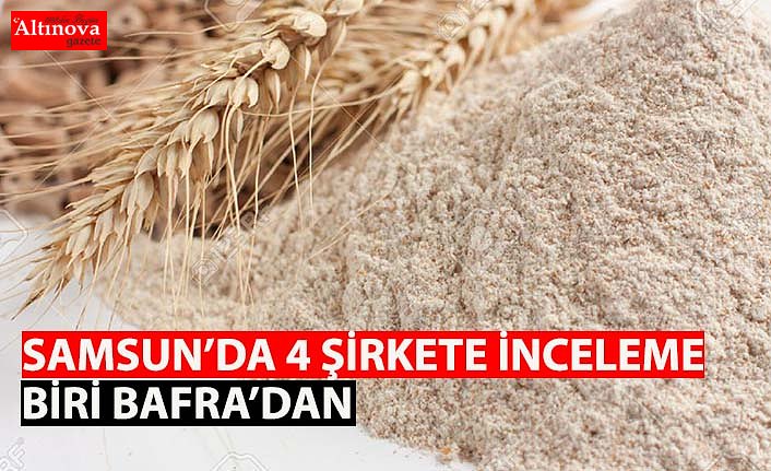 Samsun'da 4 Un Şirketine İnceleme