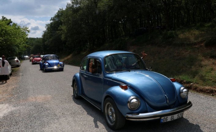 Vosvos tutkunları Bolu'da buluştu