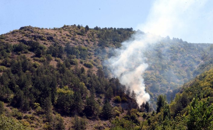 Tokat'ta çıkan orman yangını büyümeden söndürüldü