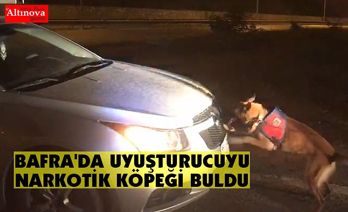 BAFRA'DA UYUŞTURUCUYU NARKOTİK KÖPEĞİ BULDU